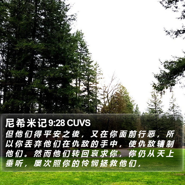 尼 希 米 记 9:28 CUVS Bible Study