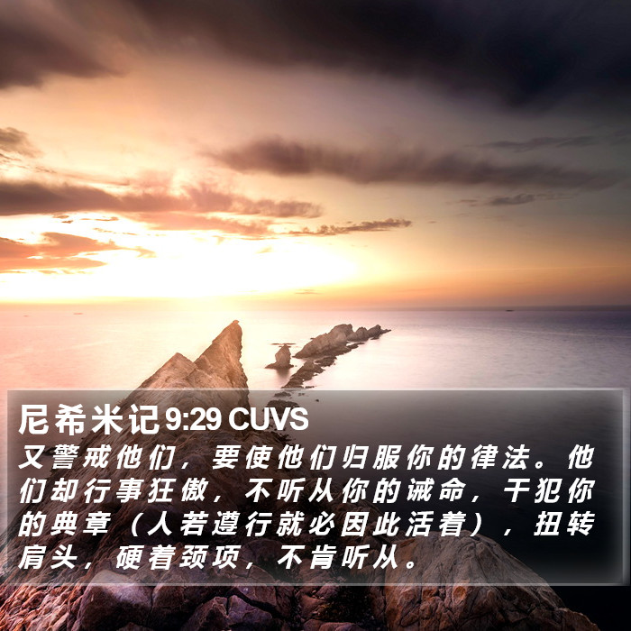 尼 希 米 记 9:29 CUVS Bible Study