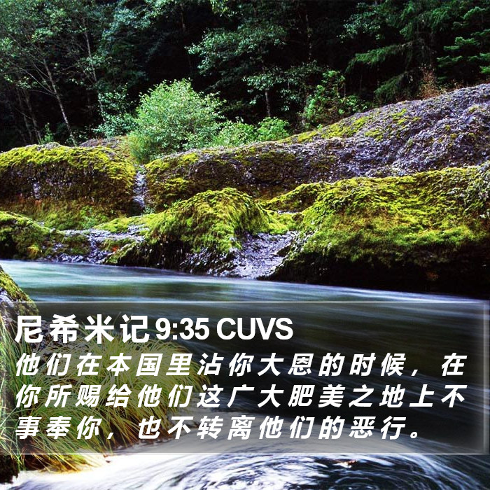 尼 希 米 记 9:35 CUVS Bible Study