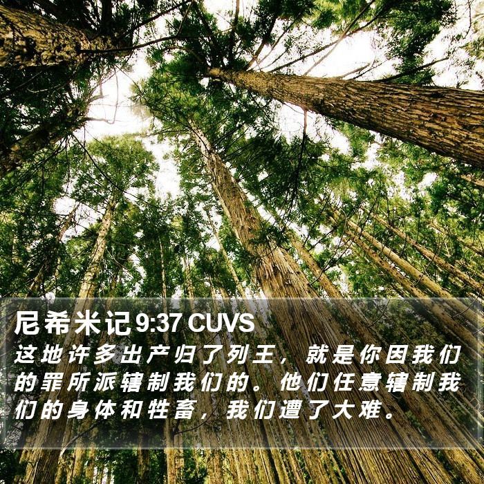 尼 希 米 记 9:37 CUVS Bible Study