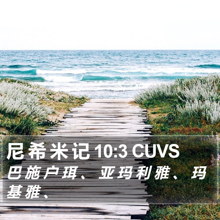 尼 希 米 记 10:3 CUVS Bible Study