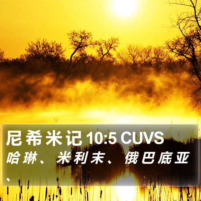 尼 希 米 记 10:5 CUVS Bible Study