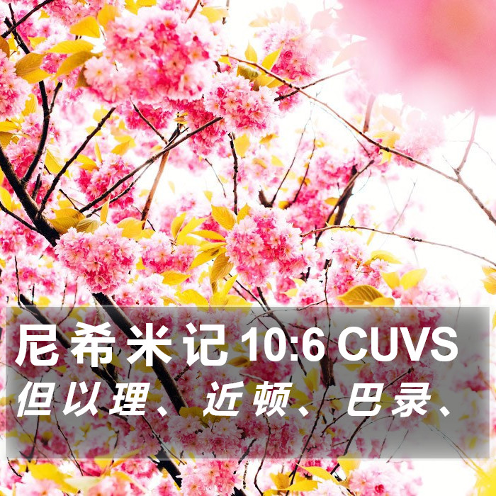 尼 希 米 记 10:6 CUVS Bible Study