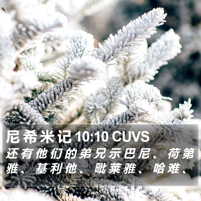 尼 希 米 记 10:10 CUVS Bible Study