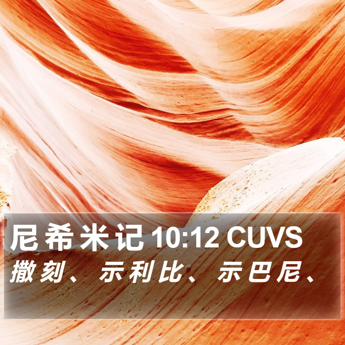 尼 希 米 记 10:12 CUVS Bible Study