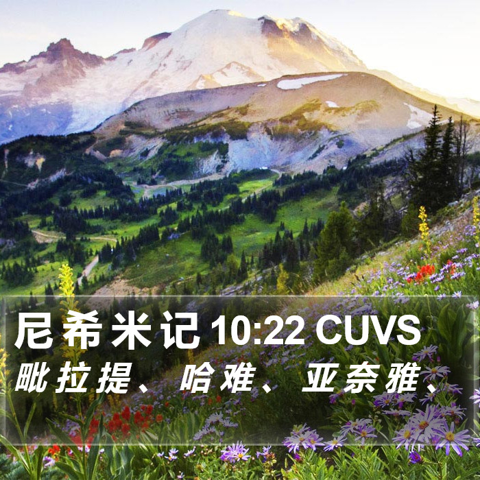 尼 希 米 记 10:22 CUVS Bible Study