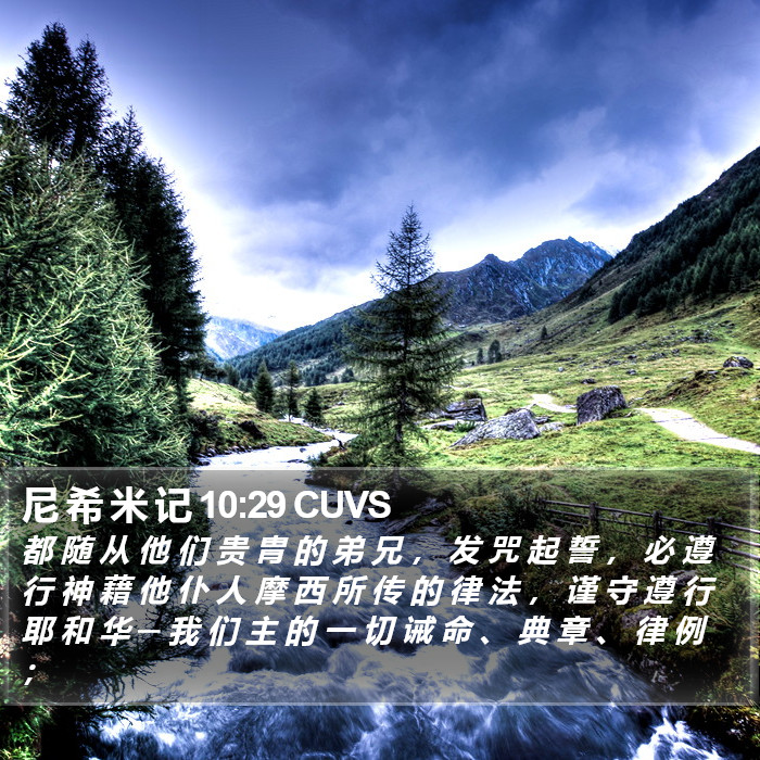 尼 希 米 记 10:29 CUVS Bible Study