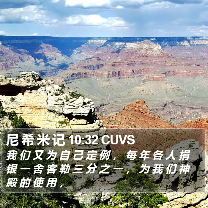 尼 希 米 记 10:32 CUVS Bible Study