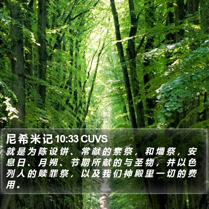 尼 希 米 记 10:33 CUVS Bible Study