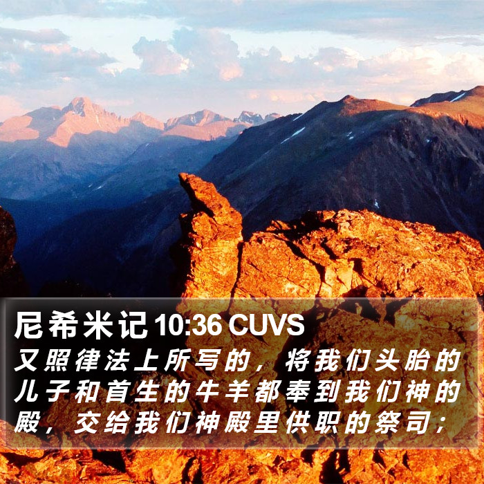 尼 希 米 记 10:36 CUVS Bible Study