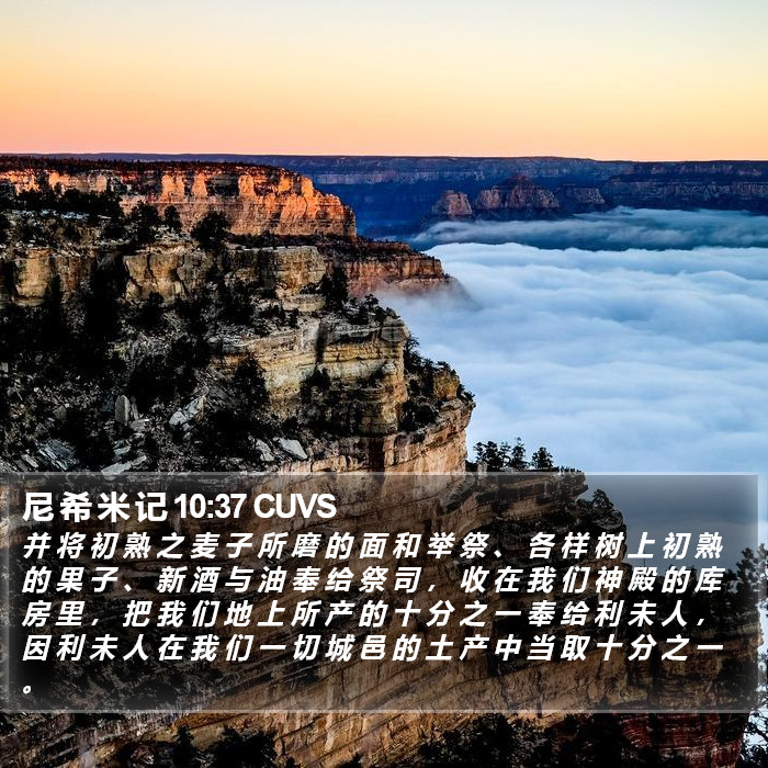 尼 希 米 记 10:37 CUVS Bible Study