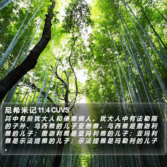 尼 希 米 记 11:4 CUVS Bible Study