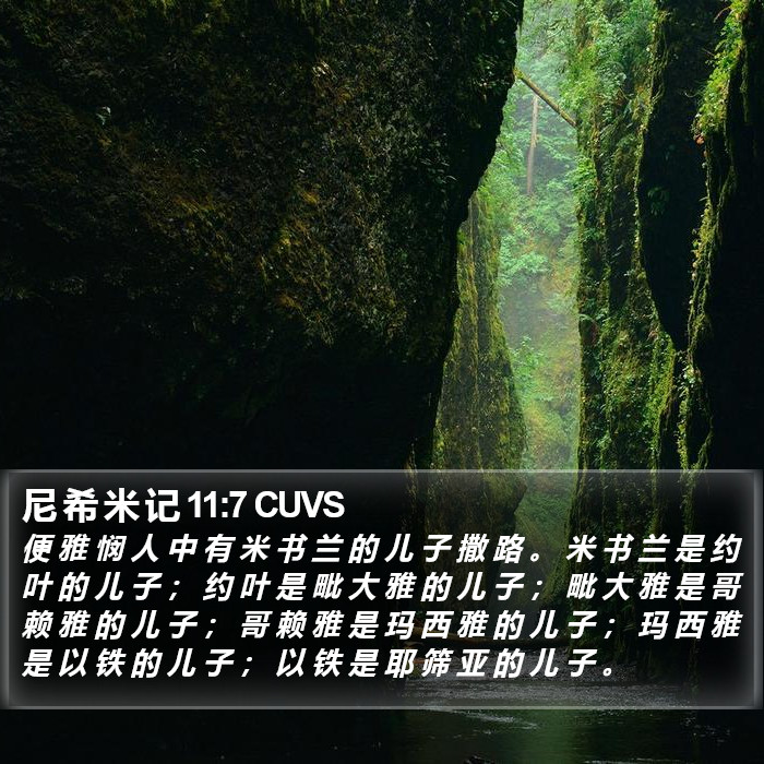 尼 希 米 记 11:7 CUVS Bible Study