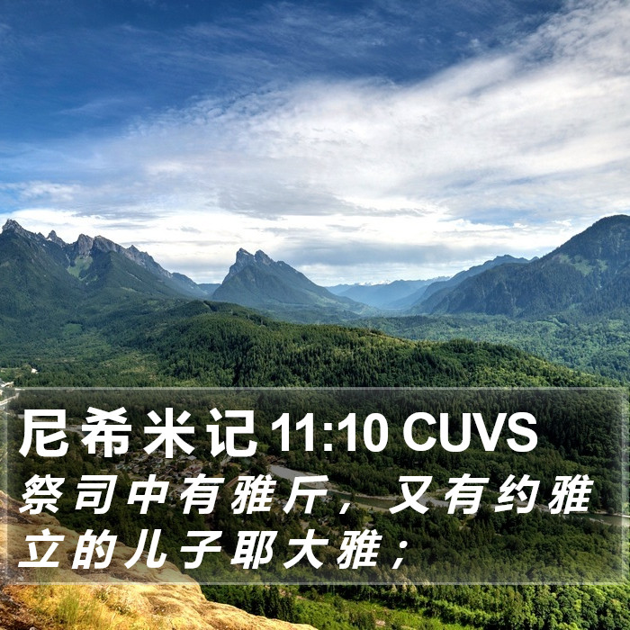 尼 希 米 记 11:10 CUVS Bible Study