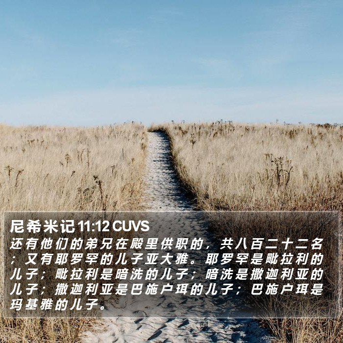 尼 希 米 记 11:12 CUVS Bible Study