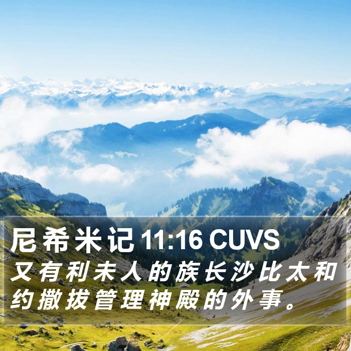 尼 希 米 记 11:16 CUVS Bible Study