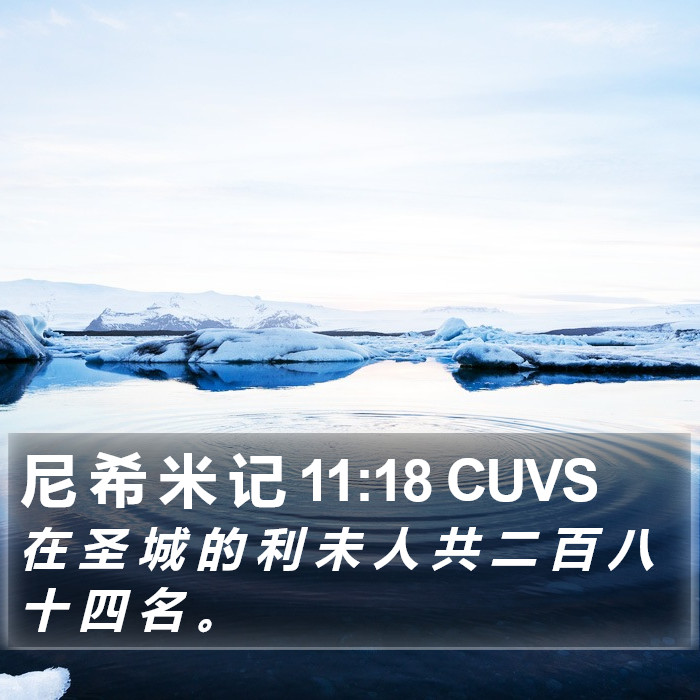 尼 希 米 记 11:18 CUVS Bible Study