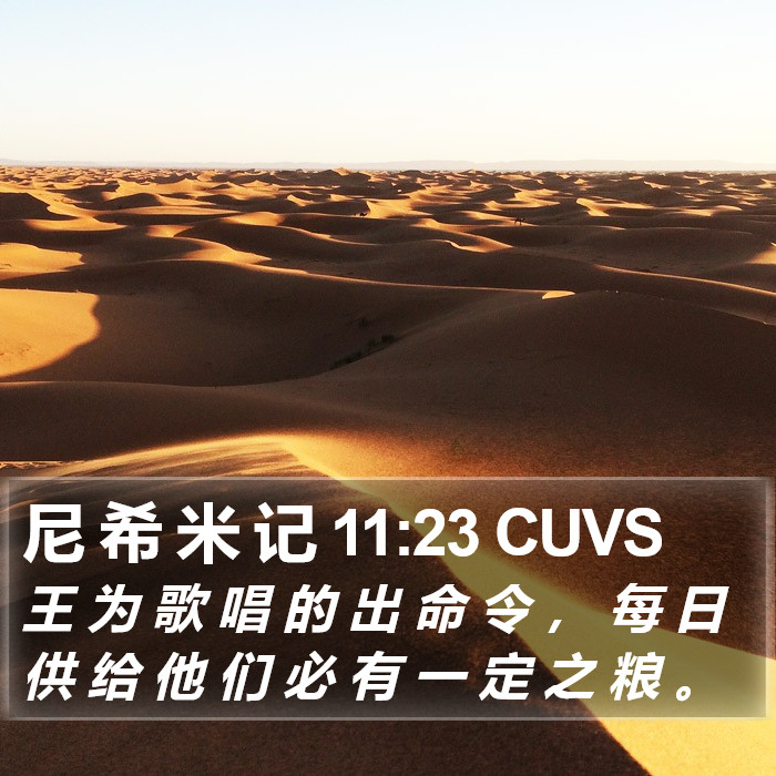 尼 希 米 记 11:23 CUVS Bible Study