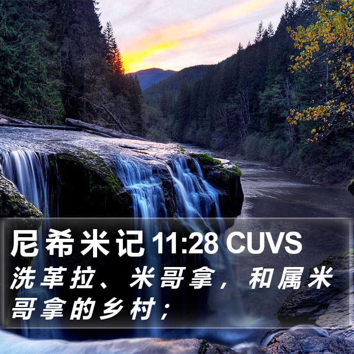 尼 希 米 记 11:28 CUVS Bible Study