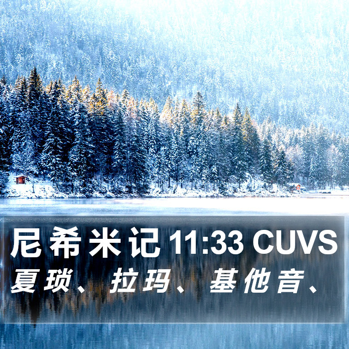 尼 希 米 记 11:33 CUVS Bible Study