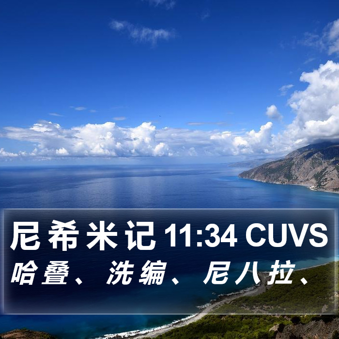 尼 希 米 记 11:34 CUVS Bible Study