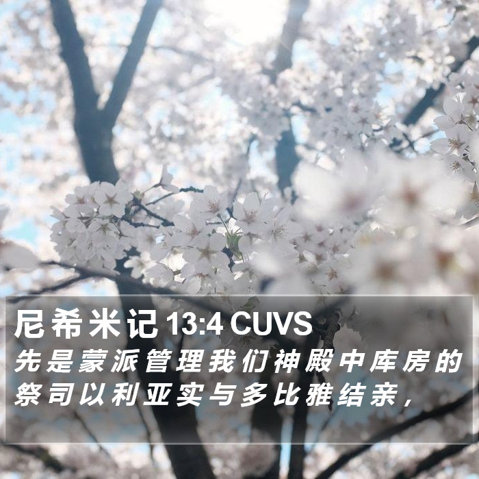 尼 希 米 记 13:4 CUVS Bible Study