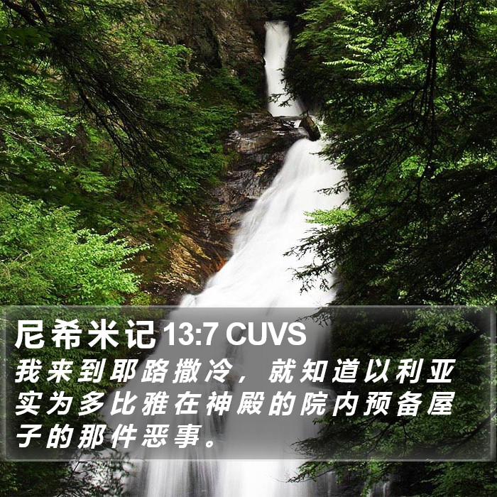 尼 希 米 记 13:7 CUVS Bible Study