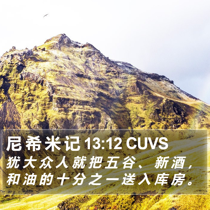 尼 希 米 记 13:12 CUVS Bible Study