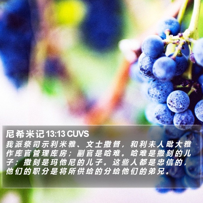 尼 希 米 记 13:13 CUVS Bible Study