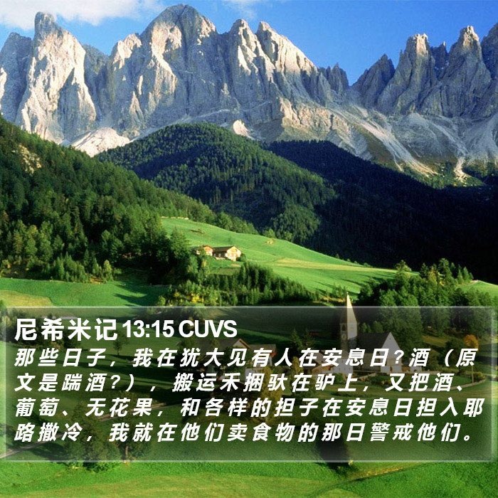 尼 希 米 记 13:15 CUVS Bible Study