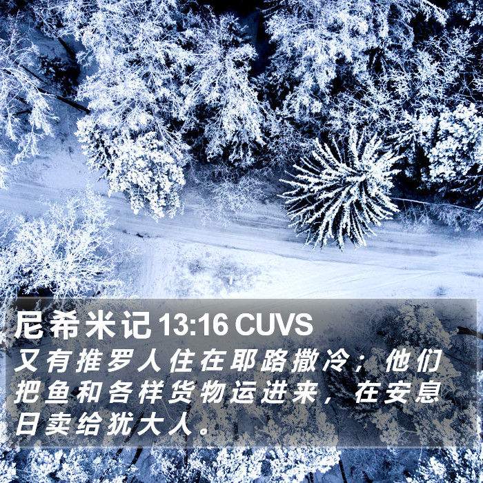 尼 希 米 记 13:16 CUVS Bible Study