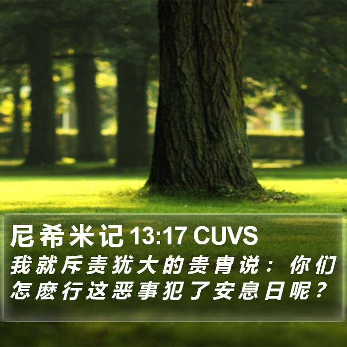 尼 希 米 记 13:17 CUVS Bible Study