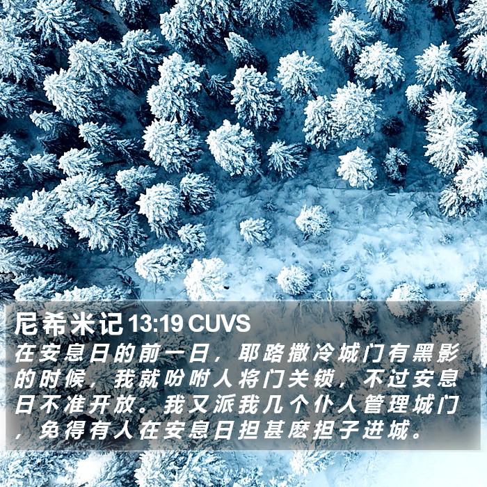 尼 希 米 记 13:19 CUVS Bible Study