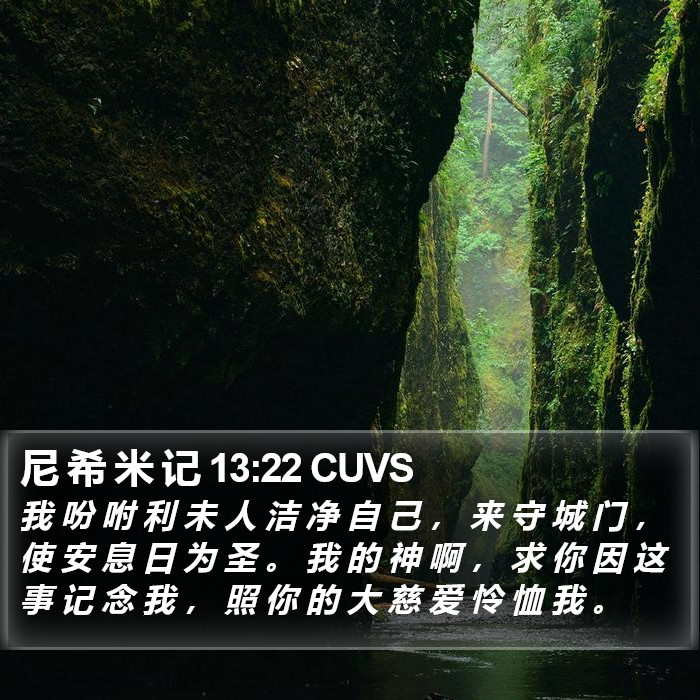 尼 希 米 记 13:22 CUVS Bible Study