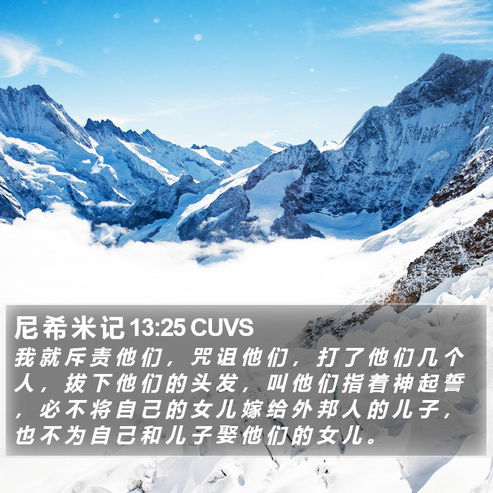 尼 希 米 记 13:25 CUVS Bible Study