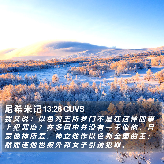 尼 希 米 记 13:26 CUVS Bible Study