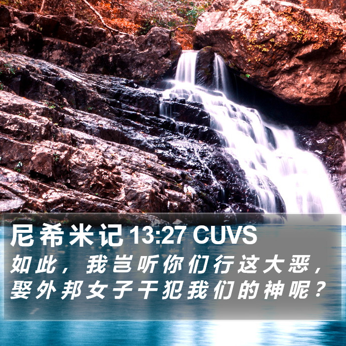 尼 希 米 记 13:27 CUVS Bible Study