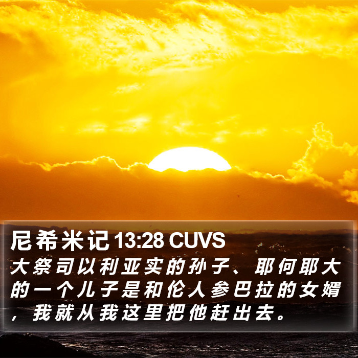 尼 希 米 记 13:28 CUVS Bible Study