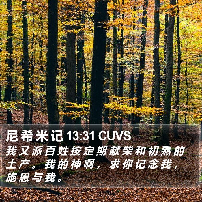 尼 希 米 记 13:31 CUVS Bible Study