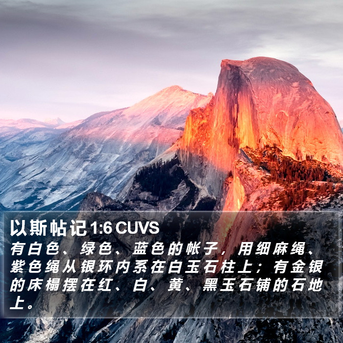 以 斯 帖 记 1:6 CUVS Bible Study