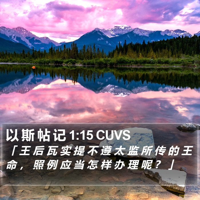 以 斯 帖 记 1:15 CUVS Bible Study