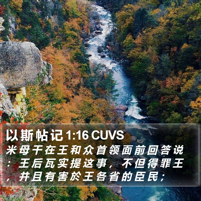 以 斯 帖 记 1:16 CUVS Bible Study