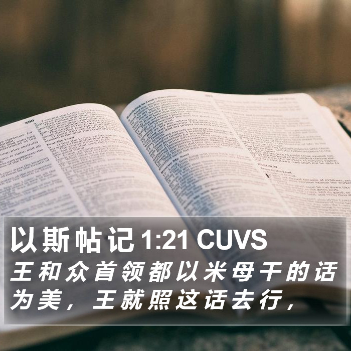 以 斯 帖 记 1:21 CUVS Bible Study