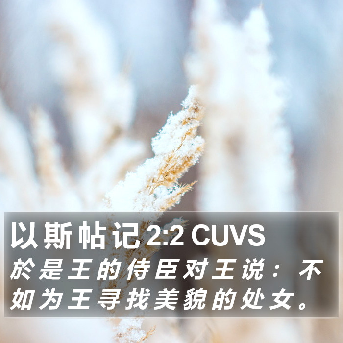 以 斯 帖 记 2:2 CUVS Bible Study