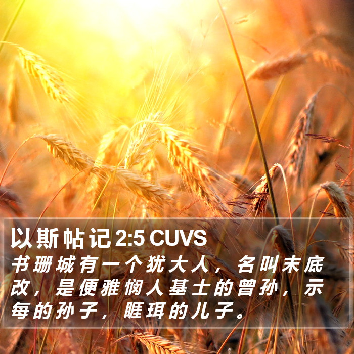 以 斯 帖 记 2:5 CUVS Bible Study