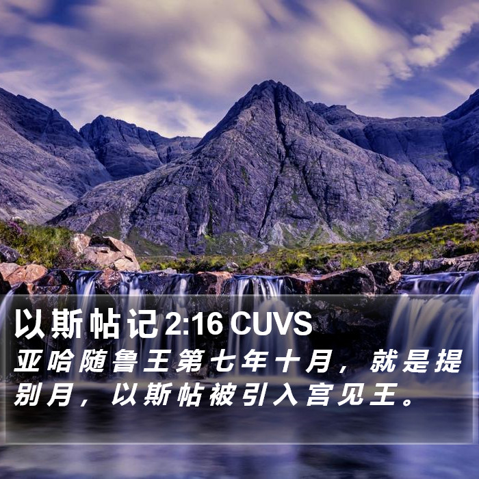 以 斯 帖 记 2:16 CUVS Bible Study