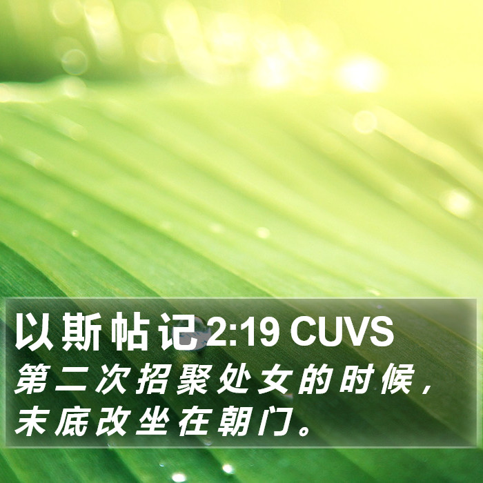 以 斯 帖 记 2:19 CUVS Bible Study