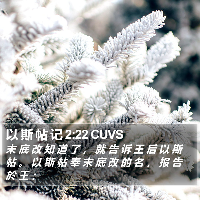 以 斯 帖 记 2:22 CUVS Bible Study