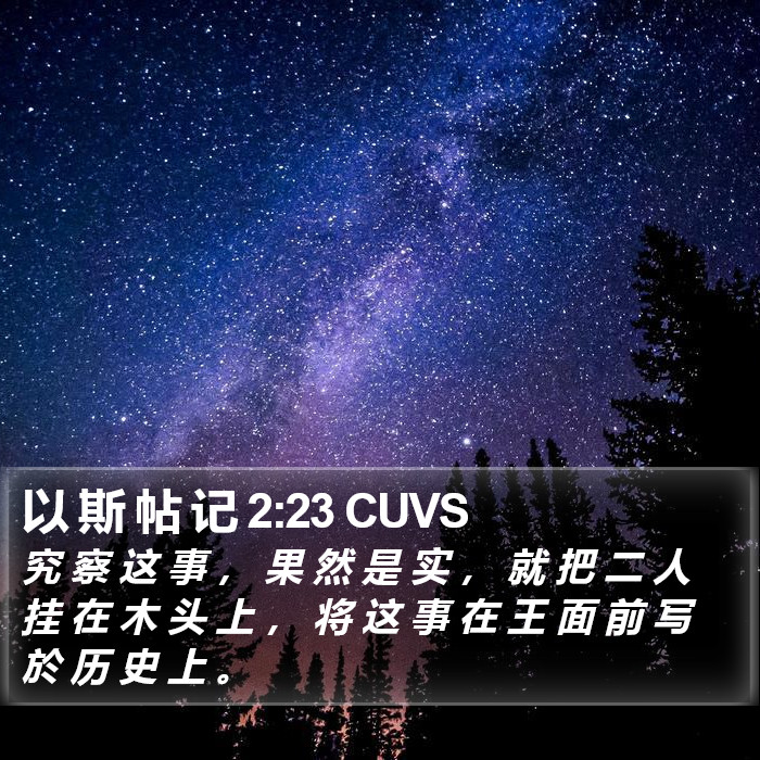 以 斯 帖 记 2:23 CUVS Bible Study