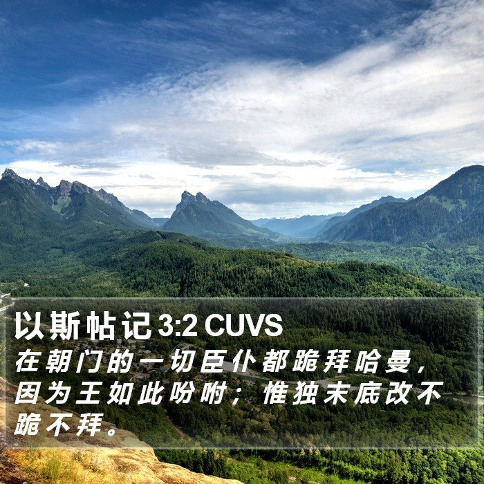 以 斯 帖 记 3:2 CUVS Bible Study